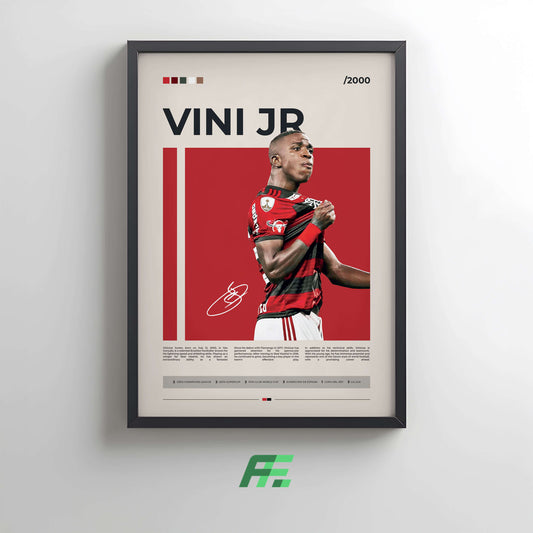 Vinicius Jr Flamengo